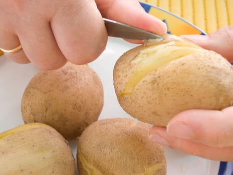 Potatoes 01