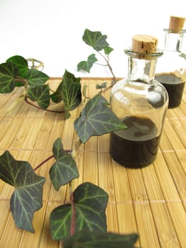 Cough syrup with ivy