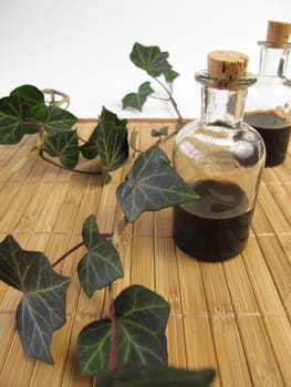 Cough syrup with ivy