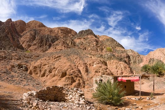 THE HOUSE OF THE BEDOUIN