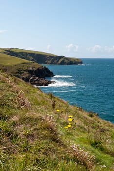 view of the coast to Port Isaac in Cornwall
