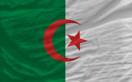 complete national flag of algeria covers whole frame, waved, crunched and very natural looking. It is perfect for background