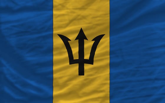 complete national flag of barbados covers whole frame, waved, crunched and very natural looking. It is perfect for background