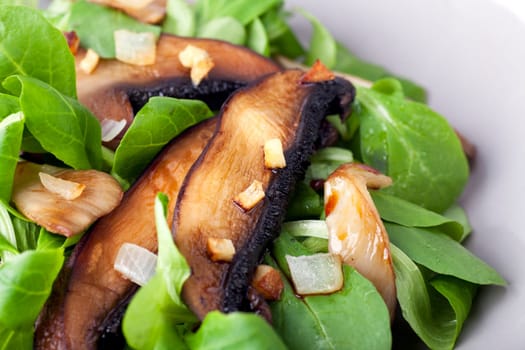 Warm portobello mushrooms on a bed of baby lettuces.