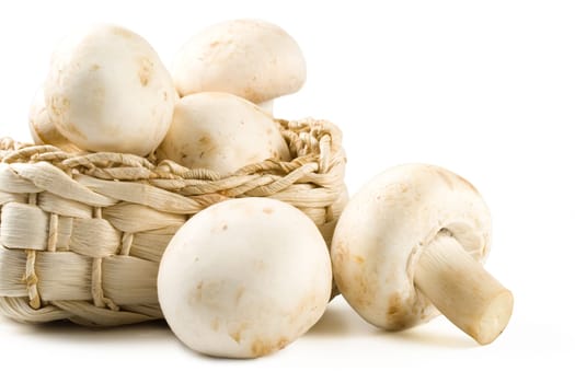 Fresh mushrooms isolated on a white background. Clipping path included.