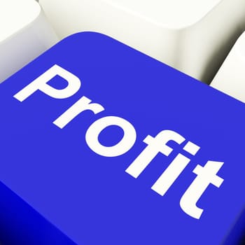 Profit Computer Key In Blue Showing Earnings And Investments