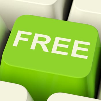 Free Computer Key In Green Showing Freebie and Promos
