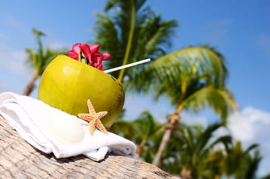 Coconut with drinking straw on a palm tree at the sea