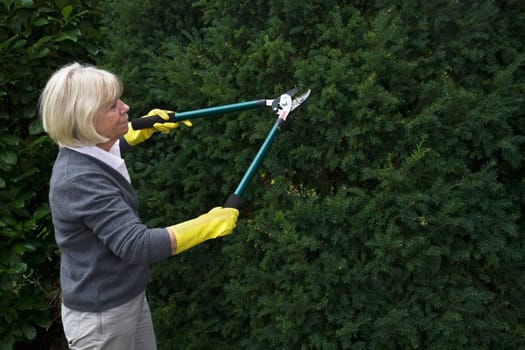 Senior woman working in the garden