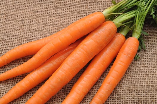 fresh carrots