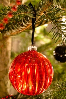 Decorative christmas balls and decoration hanging on pine - tree branch