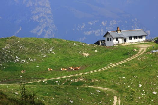Mountain farm