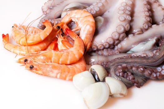 Shrimp, octopus and shellfish prepared for cooking