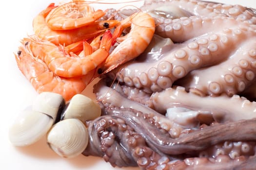 Shrimp, octopus and shellfish prepared for cooking