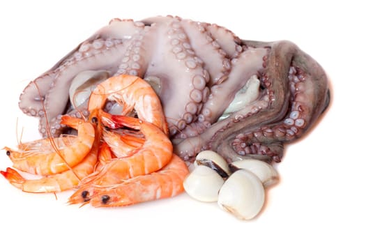Shrimp, octopus and shellfish prepared for cooking