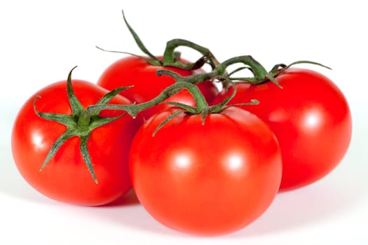 Tomato,fresh red vegetables against white background