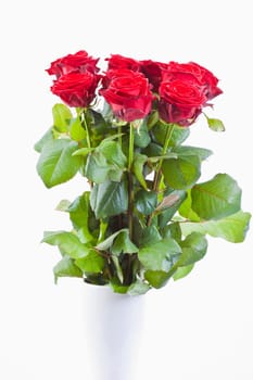 red roses