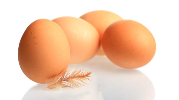 Brown chicken eggs mirrored with down feather