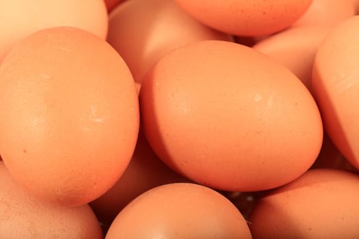 Close-up of brown chicken eggs