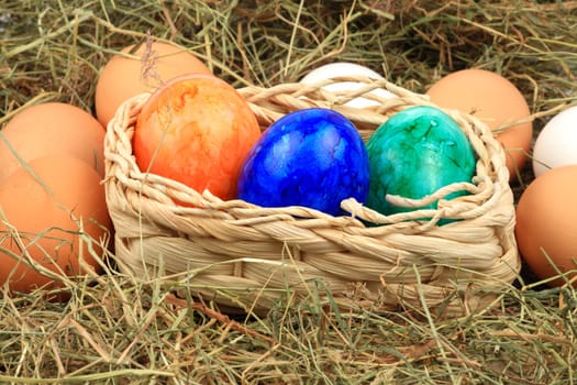Basket with colorful Easter eggs in hay