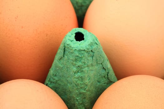 Brown Chicken Eggs in Carton - Macro Shot