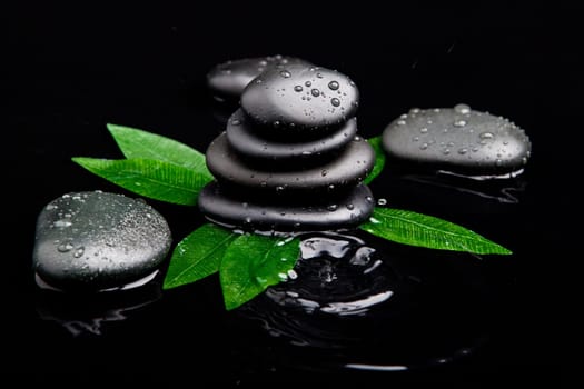 zen stones and leaves with water drops. leaf and basalt stones.