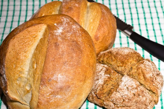Loaves of freshly baked artisan bread