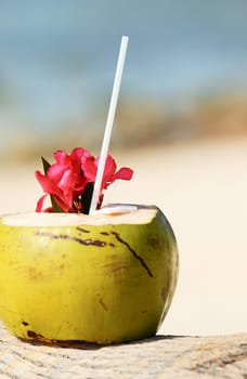 Coconut with drinking straw on a palm tree at the sea