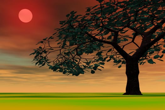 red sun