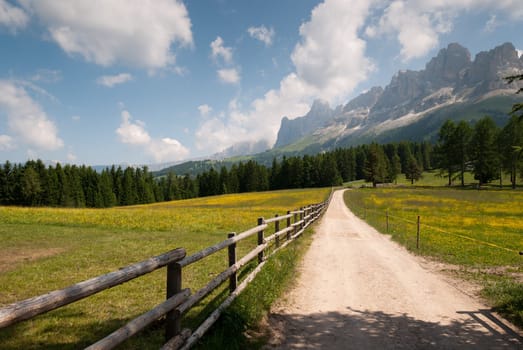 dirt road in the mountains of South Tyrol in Italy