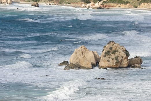surf