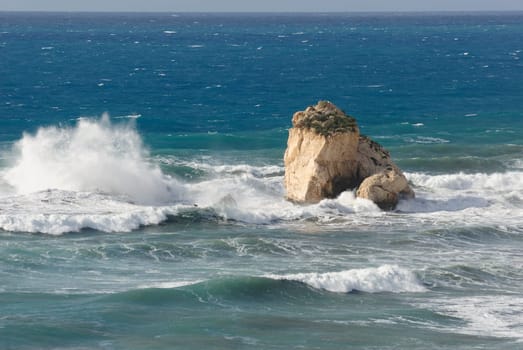 surf