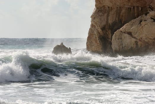 surf