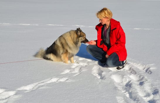 Woman playing with dog in the snow in winter sunshine