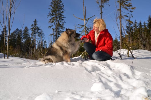 Woman playing with dog in the snow in winter sunshine