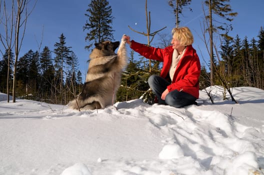 Woman playing with dog in the snow in winter sunshine