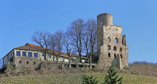 The Strahlenburg above Schriesheim