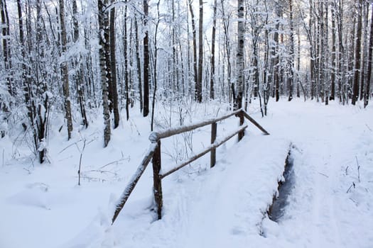 The snow-covered bridge through a stream in winter wood
