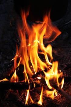 Bright flame of a fire on night