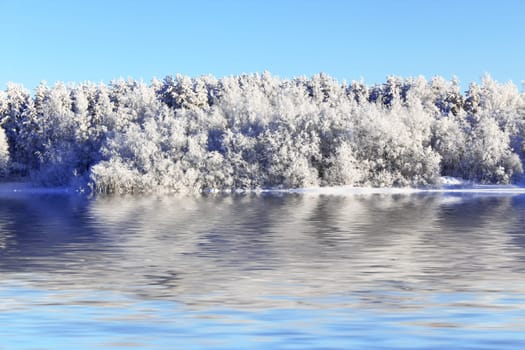 Kind on the winter forest standing on the bank of lake