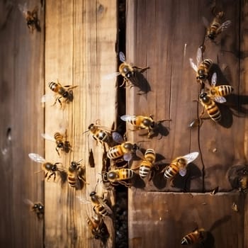 Macro nature apiary animal honeycomb beeswax yellow insects pollen hive closeup honeyed swarm beekeeping beehive colony bees apiculture