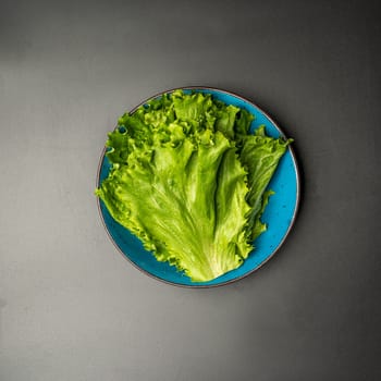 ingredients for bulgogi with salads, beef and lettuce