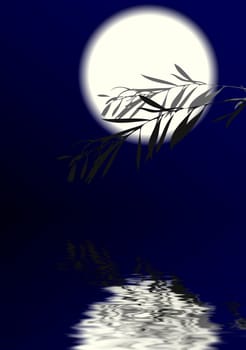Full moon
