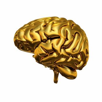 Gold Brain - Right