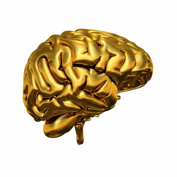 Gold Brain - Links