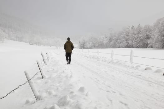 Walk in the snow