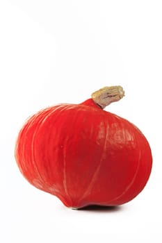 Hokkaido pumpkin