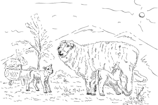 vector - Ewe with her two lambs on pasture under mountains