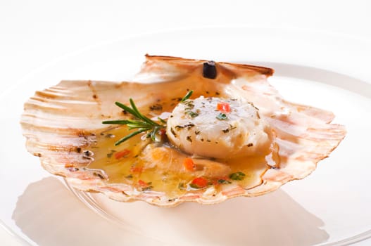 Fresh grilled scallop on white plate close up