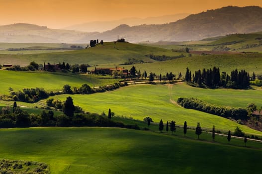 Green tuscany landscape in spring time